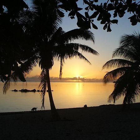 Tahiti - Taharuu Houses Surf & Beach Papara Ngoại thất bức ảnh